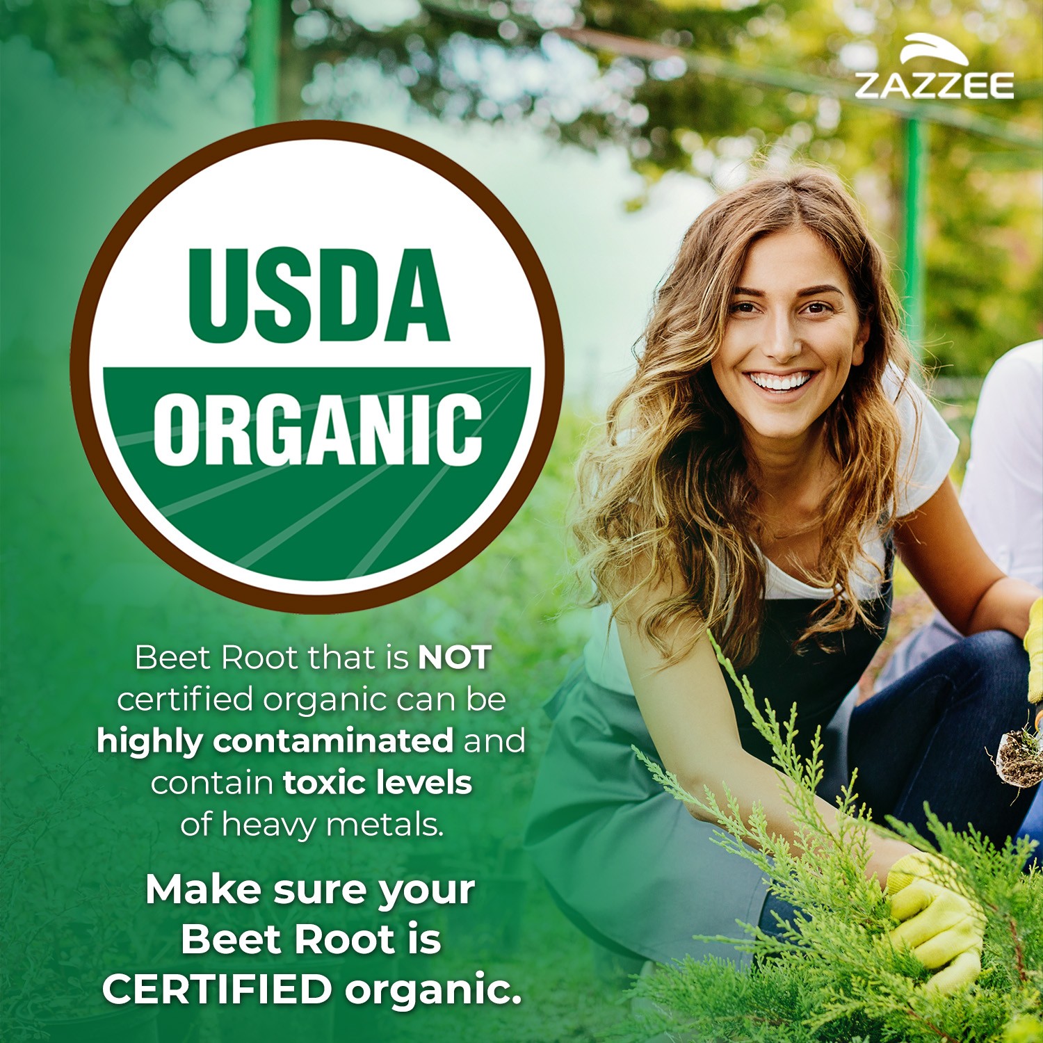 USDA Organic Extra Strength Beet Root 20:1 Extract 8000 mg Strength 120 Capsules