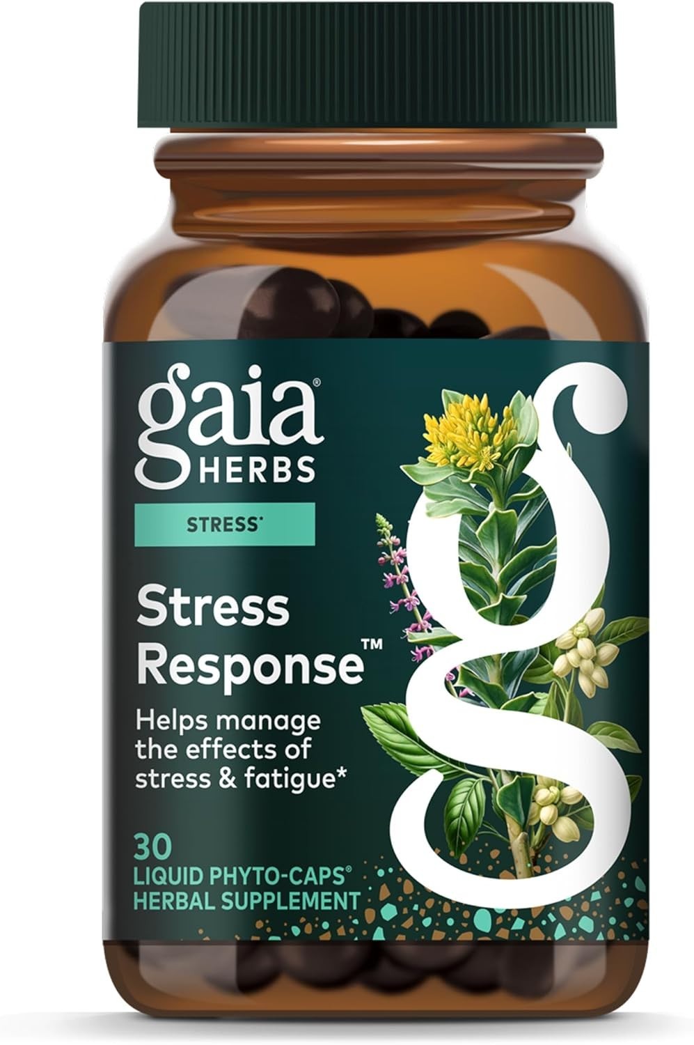 Energizing Herbal Stress Response with Rhodiola, Perfect for Daily Use | 30 Caps