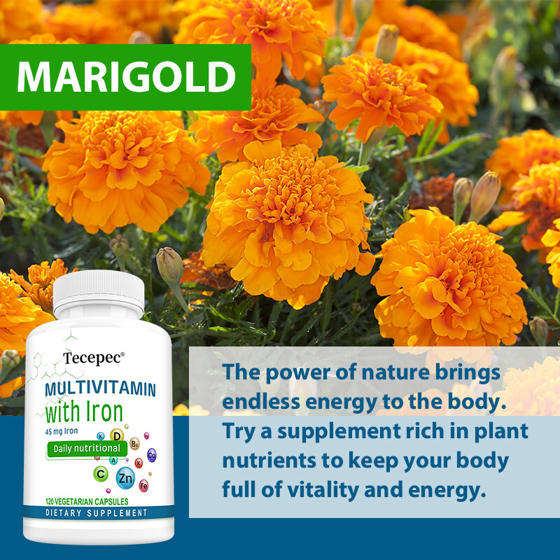 Multivitamin with 45 mg of Iron | Easy to Swallow Capsule | Immune Support