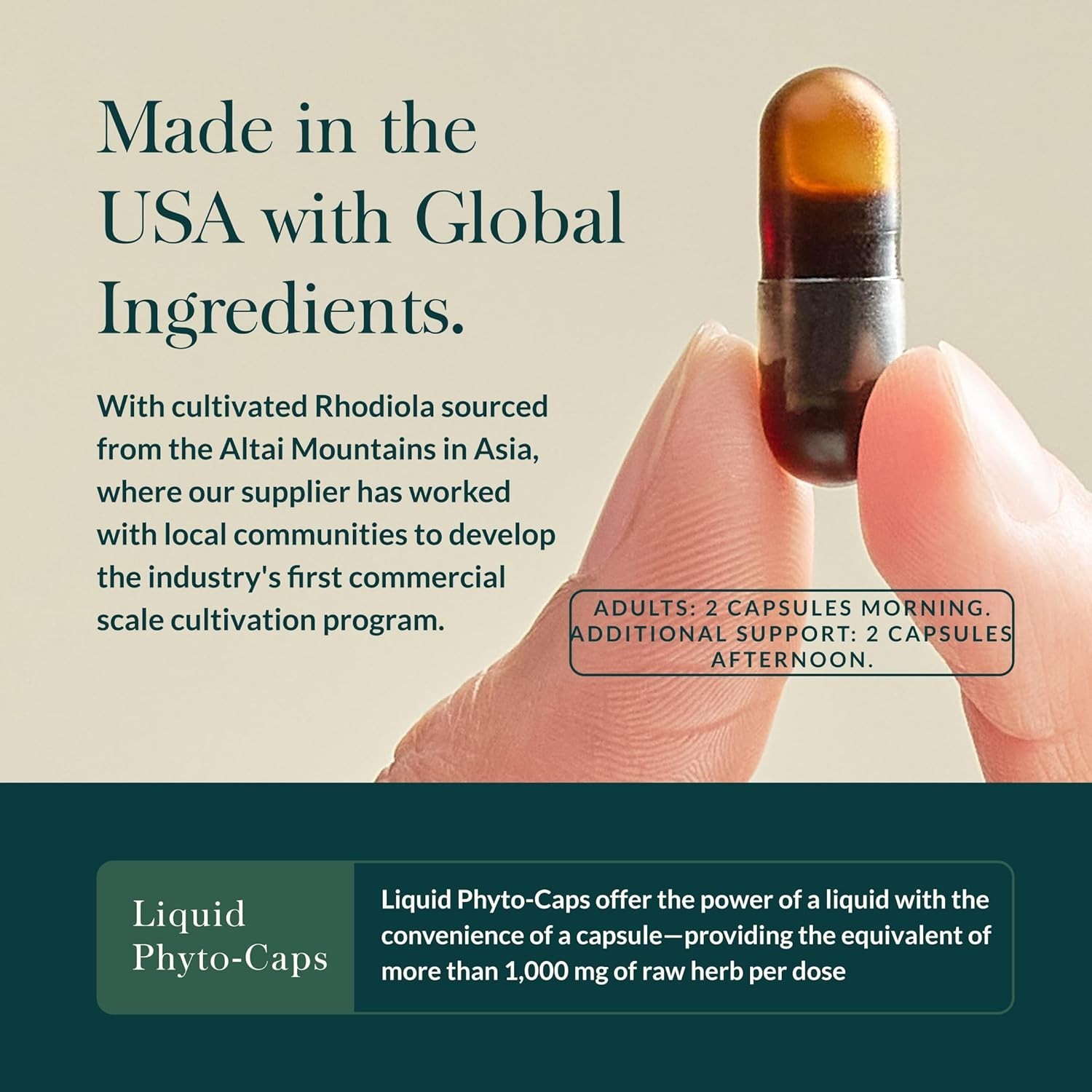 Energizing Herbal Stress Response with Rhodiola, Perfect for Daily Use | 30 Caps