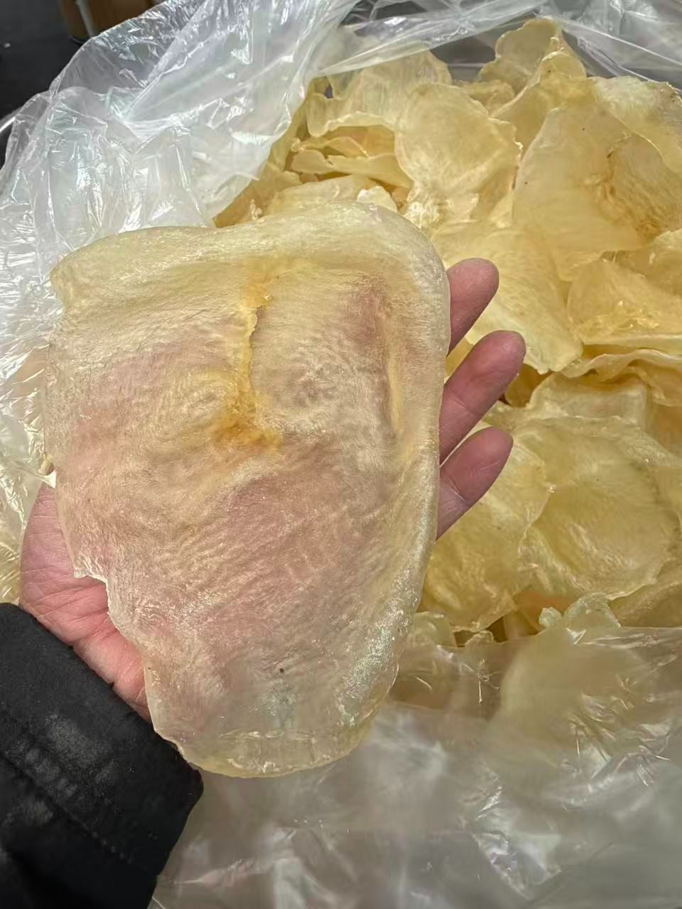 南美洲野生特大7头蝴蝶胶1LB/Bag XL Size Dried South American wild caught fish maw-U.S Seller