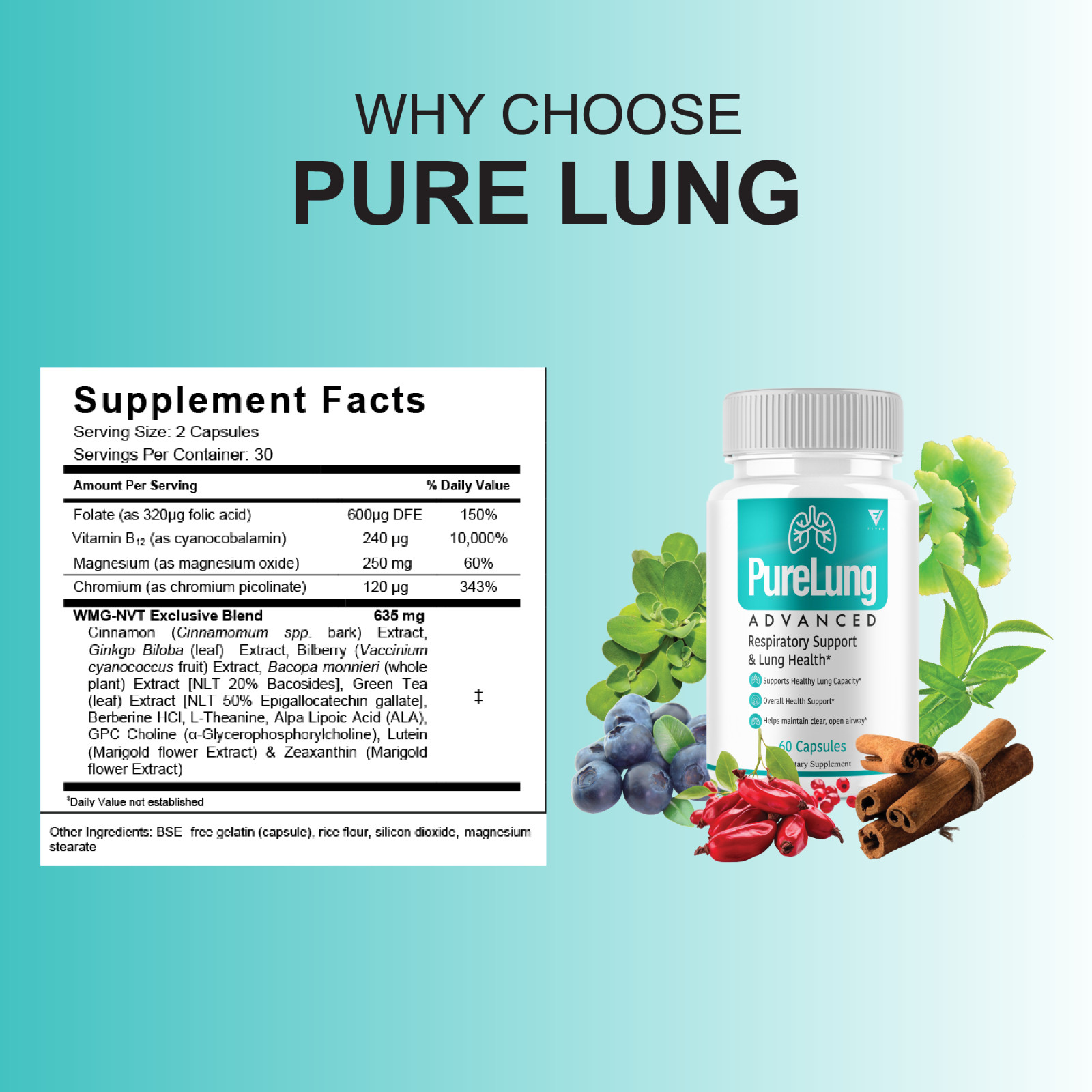(3 Pack) Pure Lung Advanced Wellness Support, PureLung Health (180 Capsules)