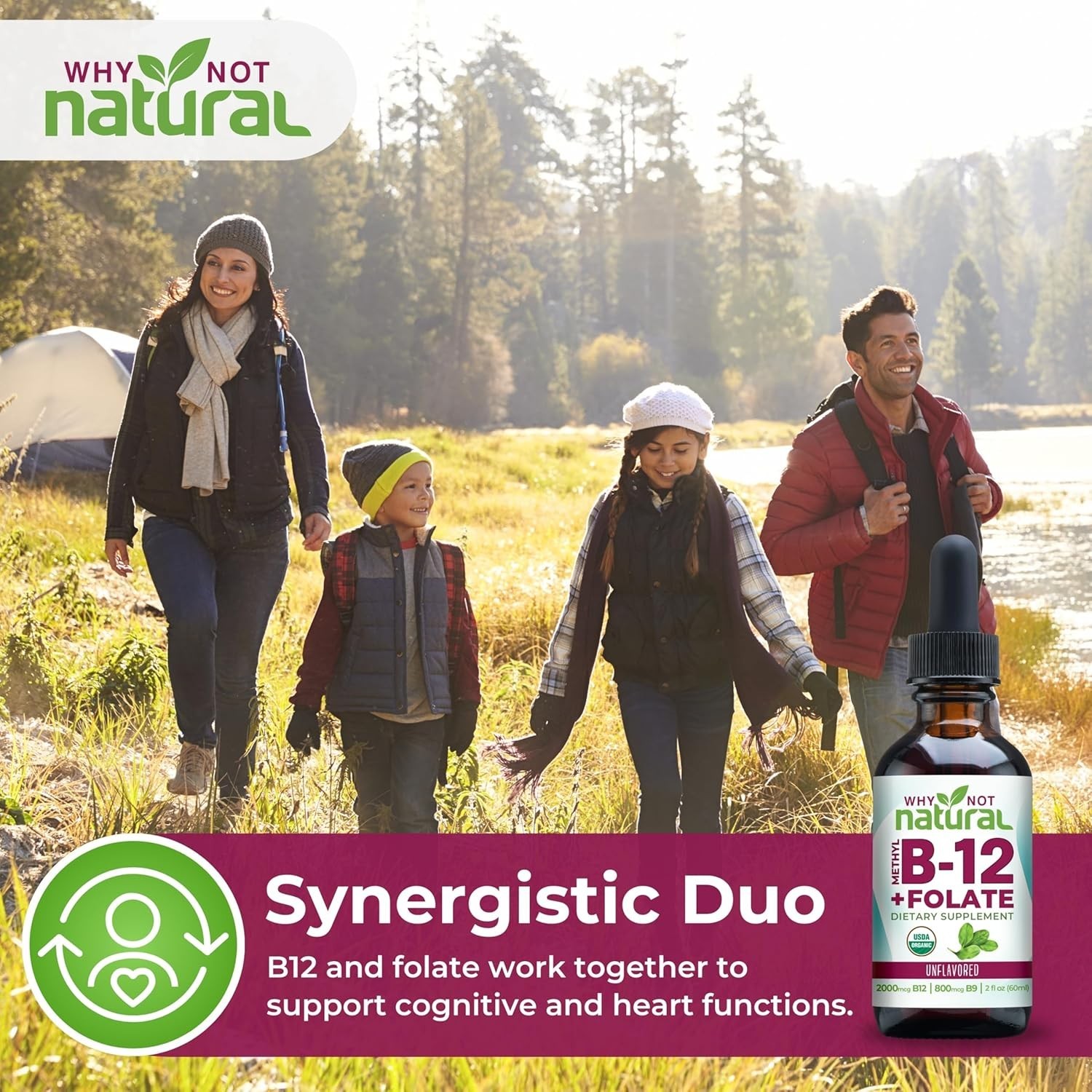 Why Not Natural B12 Liquid Plus Folate Vegan Sublingual Methyl B12 Drops