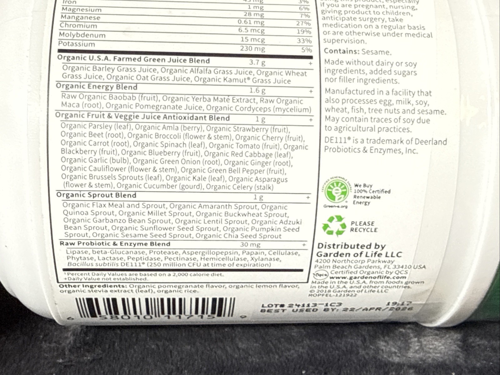 Raw Organic Perfect Food Energizer 9.73 Oz