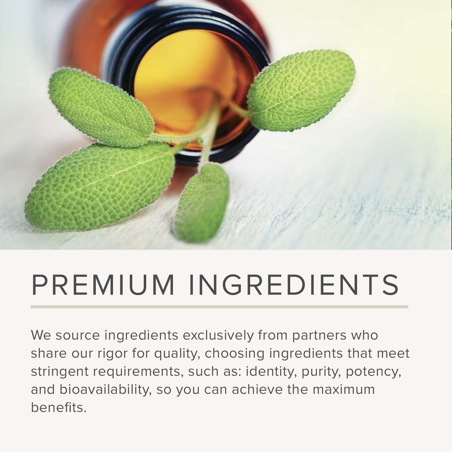 Integrative Therapeutics Krebs Magnesium Potassium Complex – Mineral Supplement
