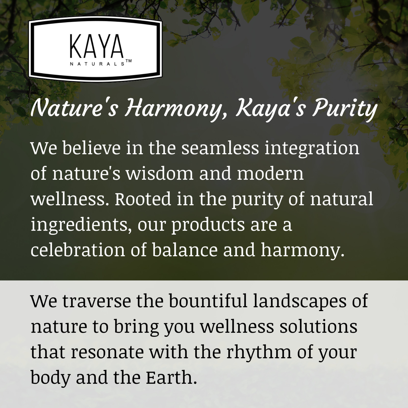 Urinary Tract Balance D Mannose Powder Cranberry Hibiscus Flower Dandelion Root