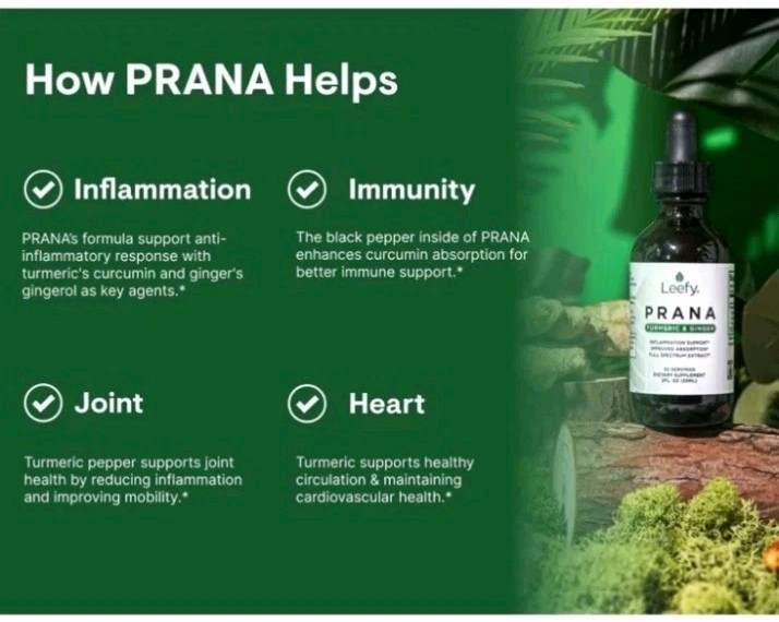 Leefy Organics 3 PACK!! PRANA 2FL Oz 59ml X3 Tumeric And Ginger Sealed New