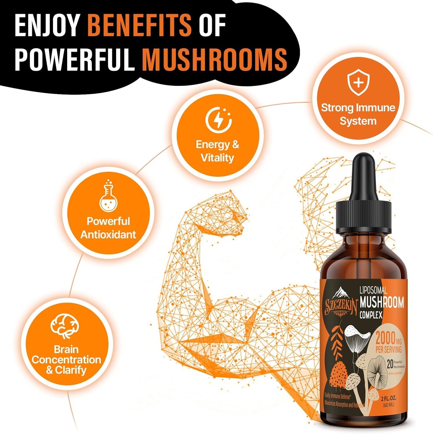 2000 MG Liposomal Mushroom Drops – 20 Organic Extracts for Immunity & Focus