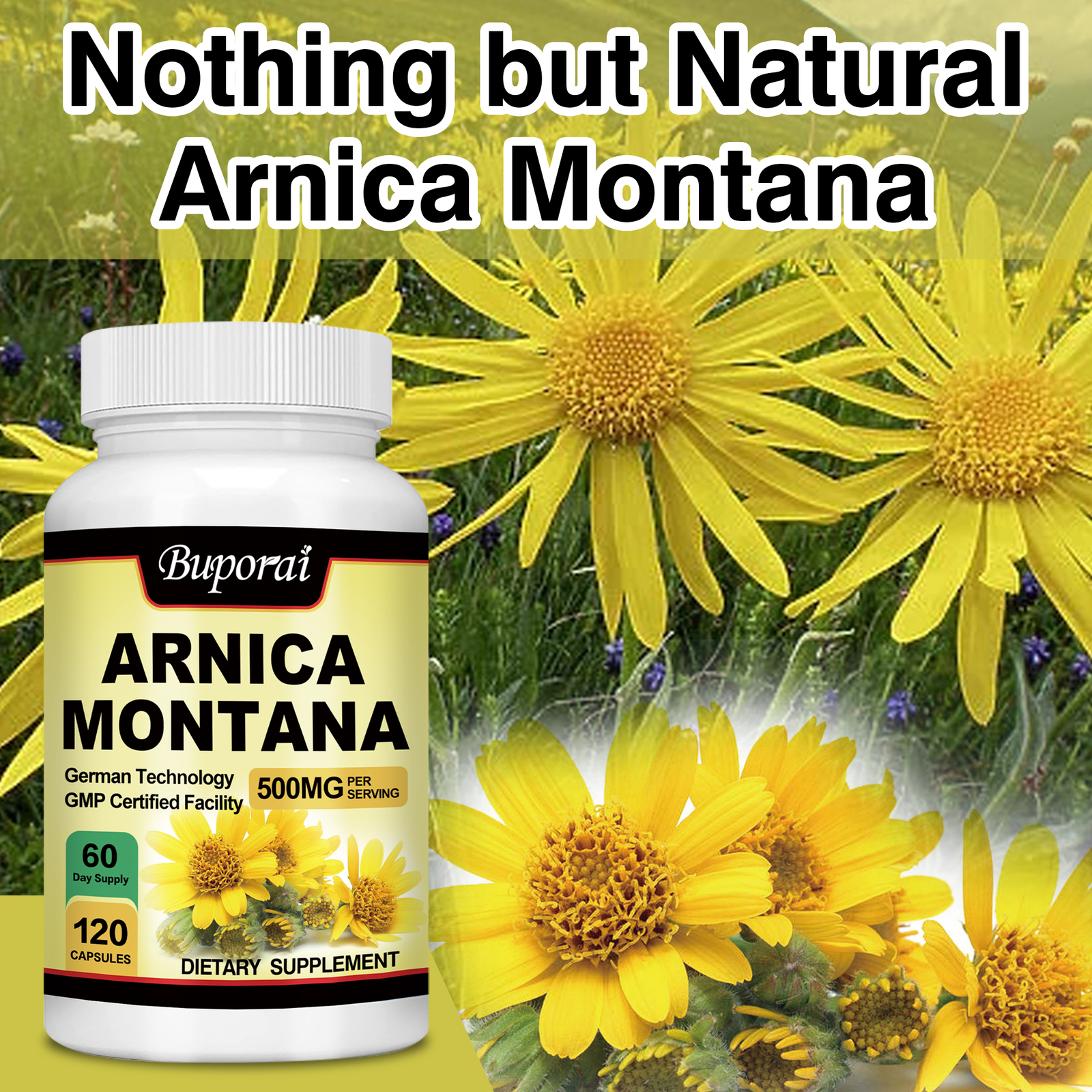 Arnica Montana 500mg -Anti-Inflammatory Support, Reliever for Swelling & Bruises