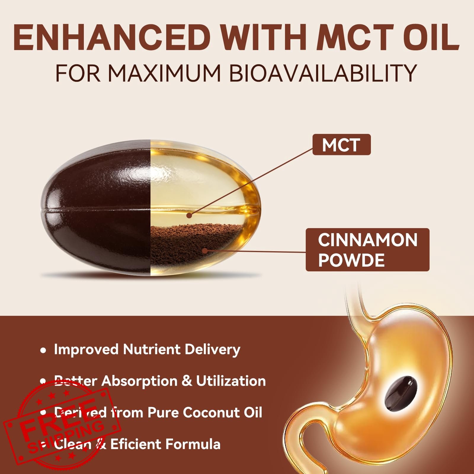 ALLBIZ Ceylon Cinnamon Softgels 360 Count