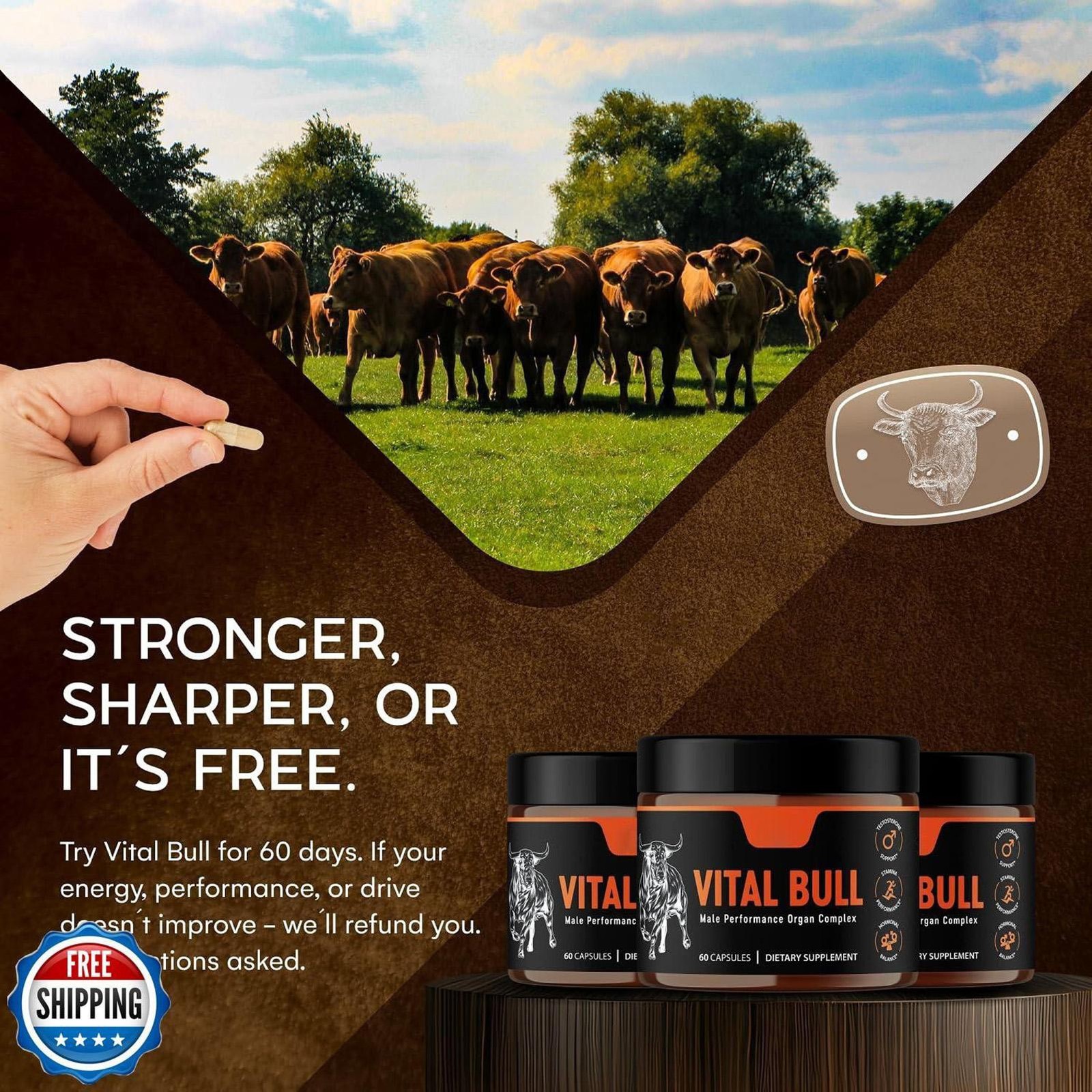Vital Bull Beef Organ Supplement for Men – Grass Fed Organs with Heart