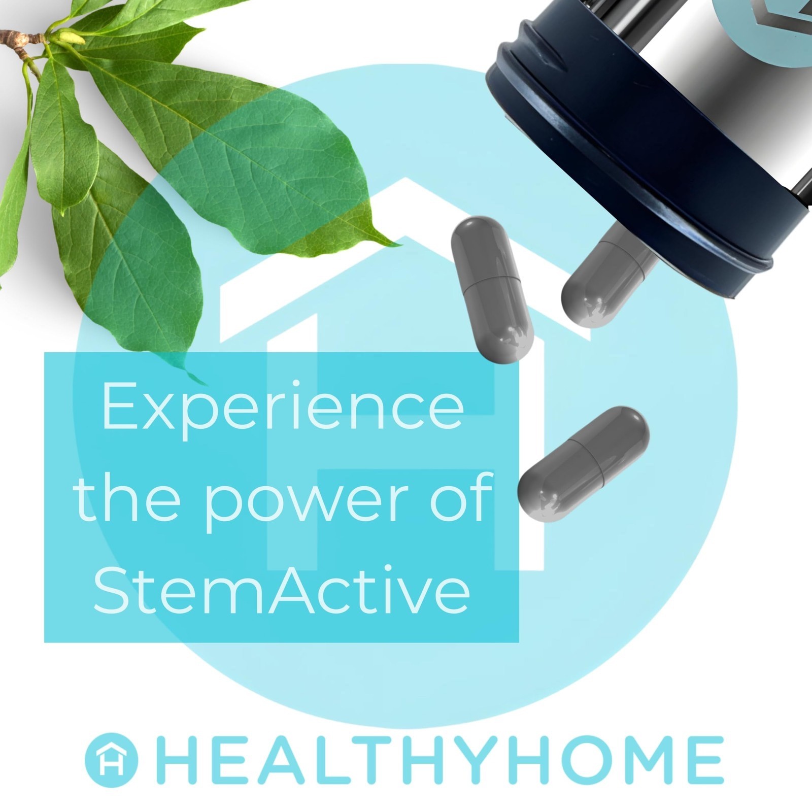 StemActive Stem Cell Boost Nutritional Supplement 60 Capsules for Wellness NEW