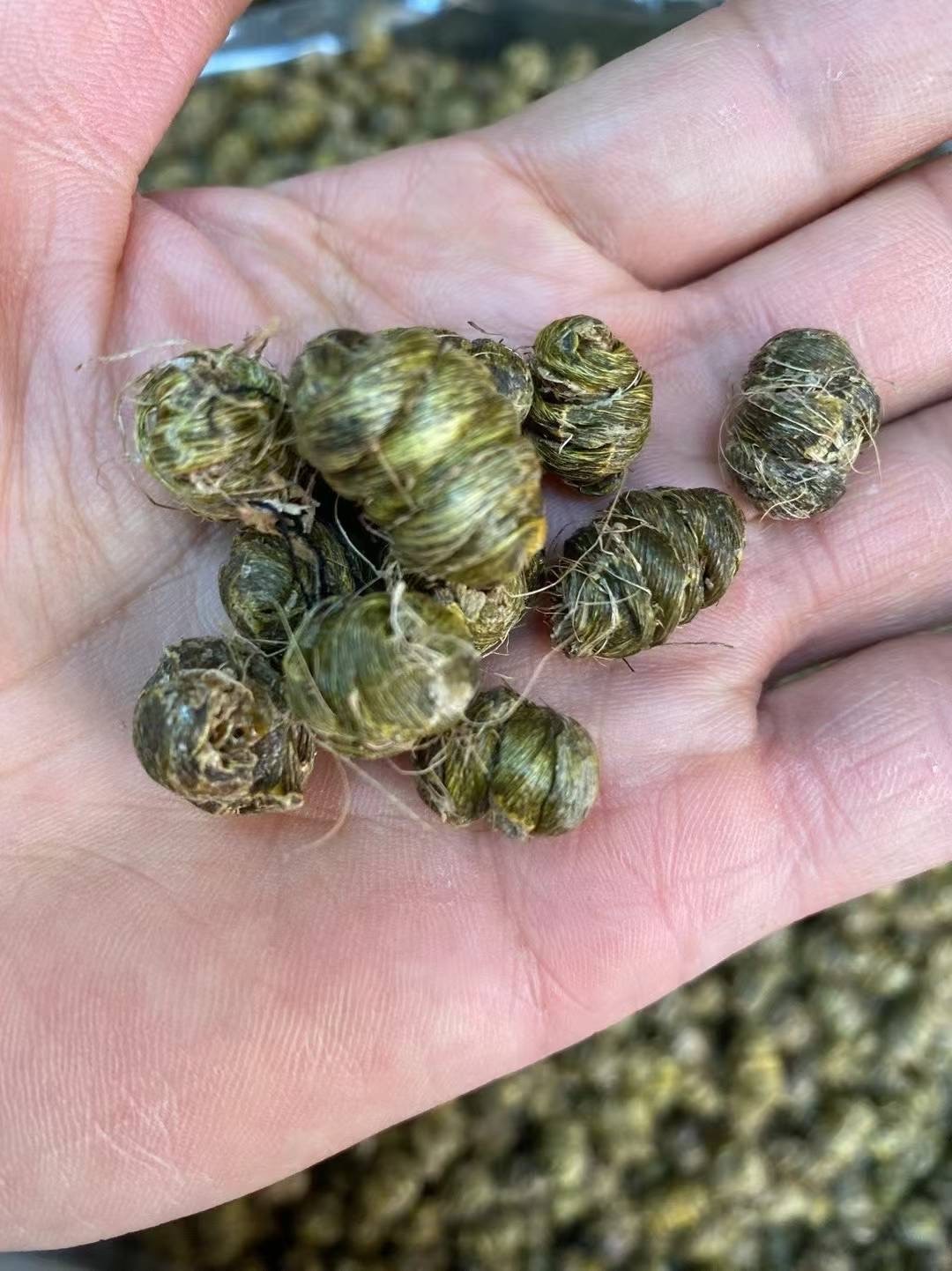 铁皮石斛 1lb