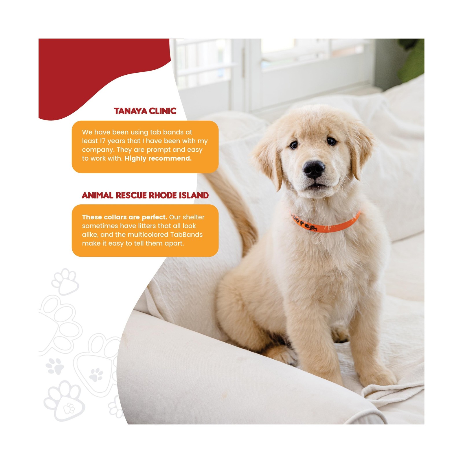 Max Premium Pet ID Collars – 20 Inch – 500 Count – Variety – Waterproof, Writ…