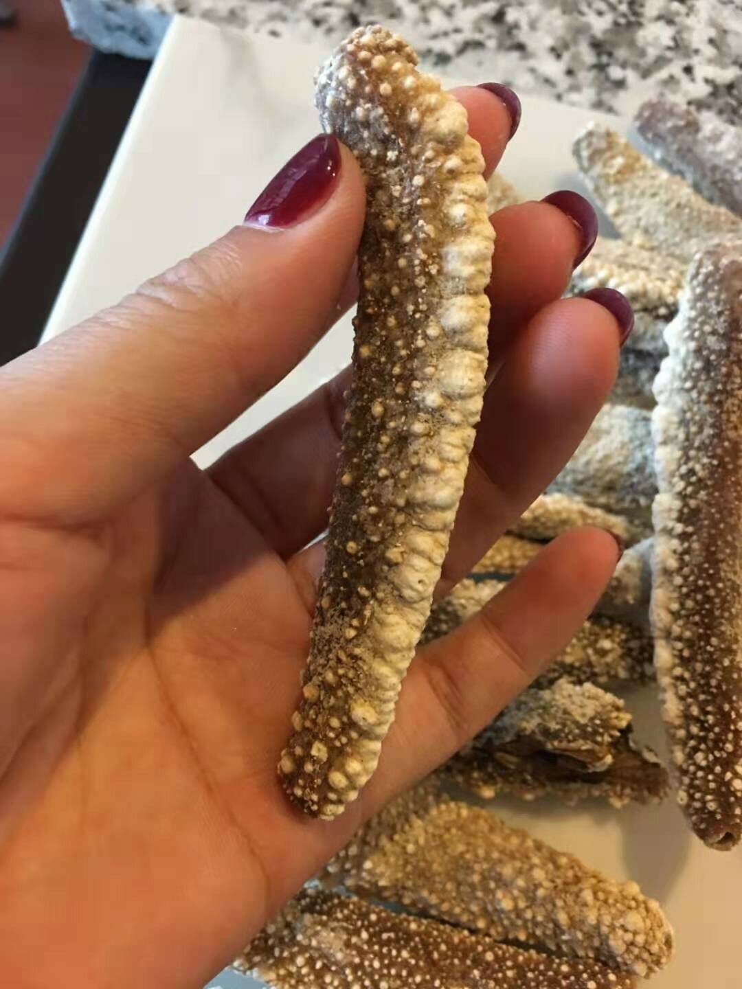 淡干野生白玉参 1 磅 小号,每磅55-60头Naturally Dried White Sea Cucumber 1 lb (Small 55-60/Lbs