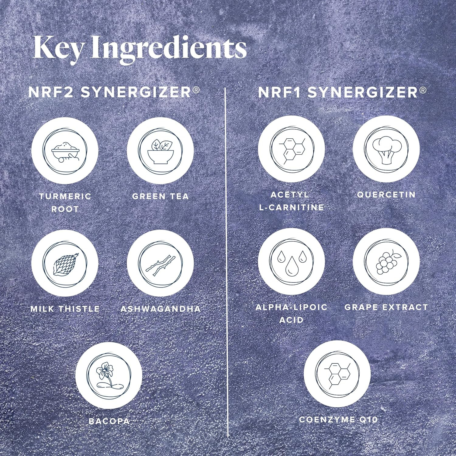 LifeVantage Protandim Dual Synergizer, NRF1 (60 Caps) + Nrf2 (30 Caps) Activator