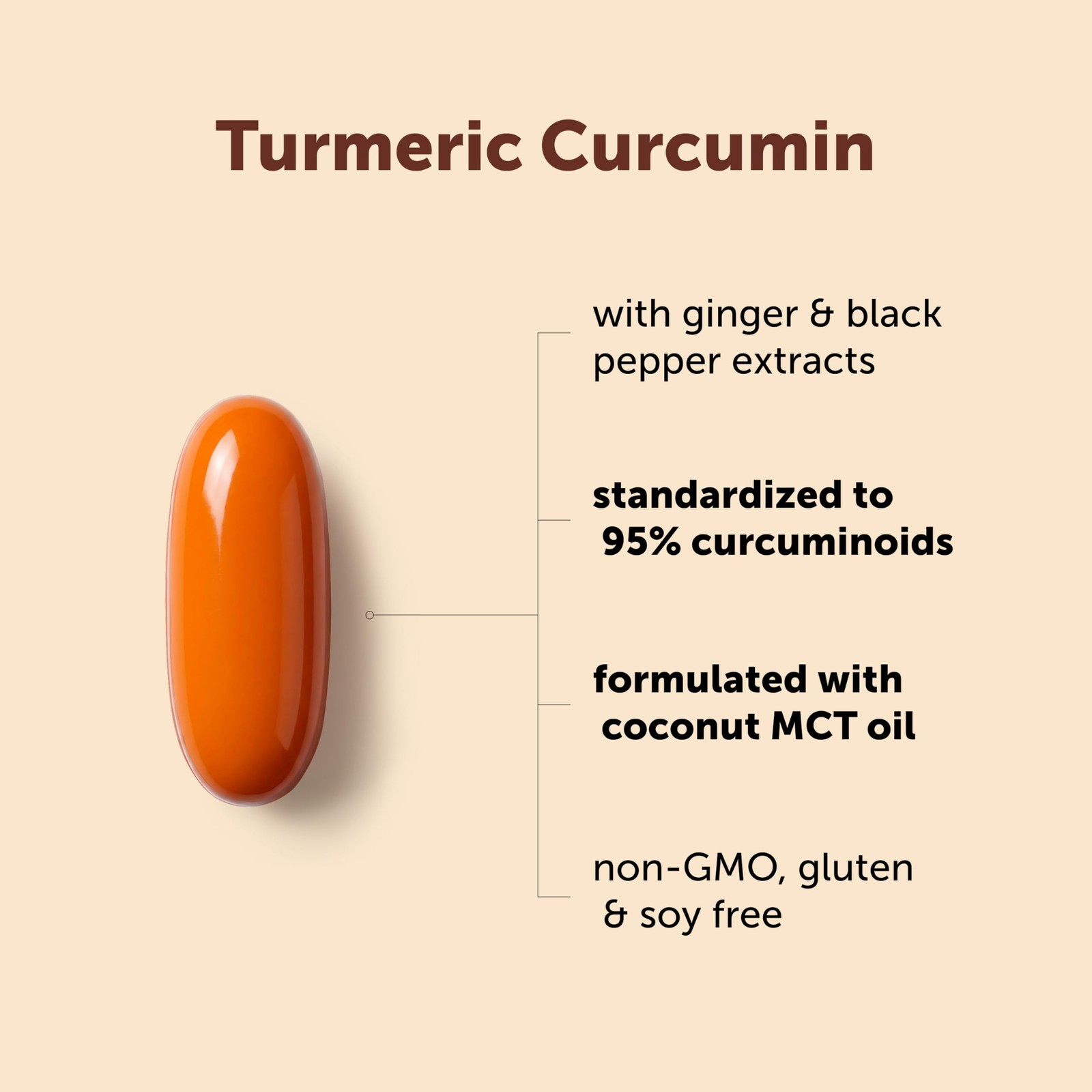 Micro Ingredients Turmeric Curcumin Supplement with 300 Count (Pack of 1)