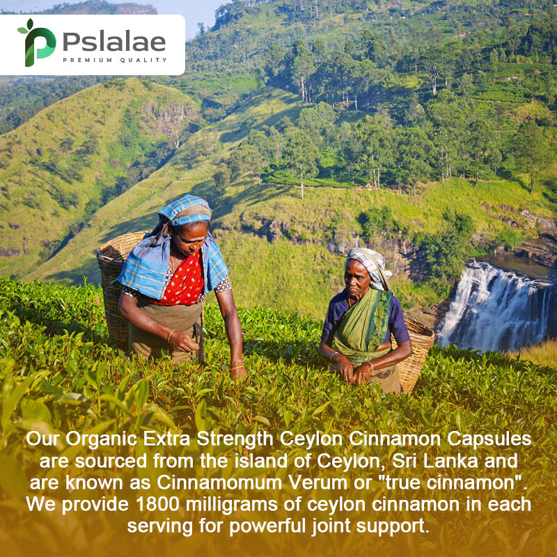 Organic Ceylon Cinnamon Capsules 1800mg – Highest Potency Blood Sugar Support