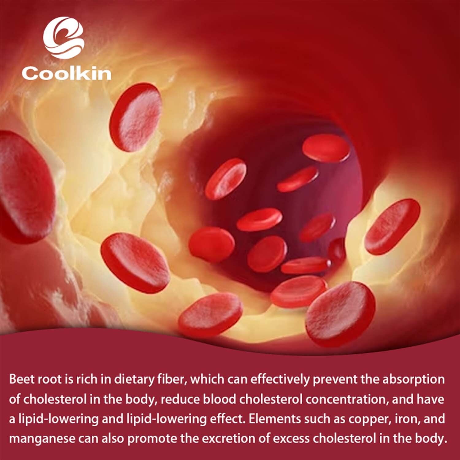 Beet Root 8000mg – Aids Circulation,Blood Support,Heart & Cardiovascular Health