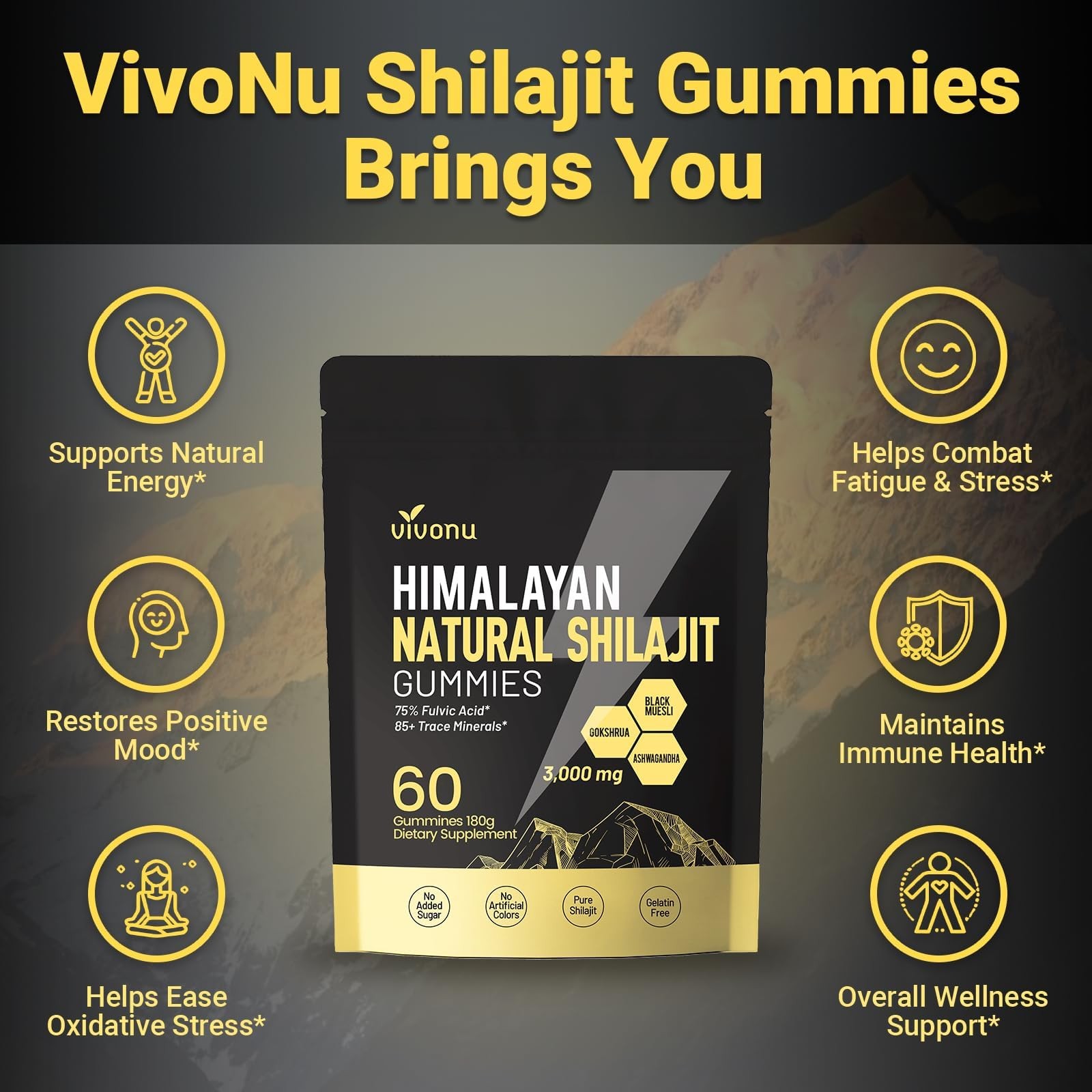 Himalayan Shilajit Gummies with 60 Count (Pack of 1), 1 Bag / 60