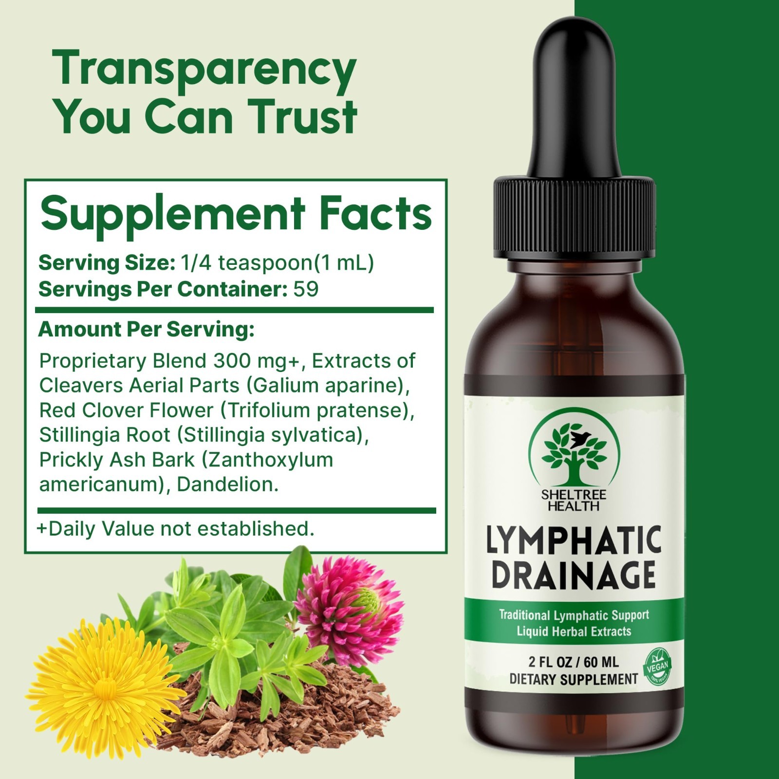 Organic Lymphatic Drainage Drops 2 Fl Oz | Vegan Non-GMO Herbal Supplements