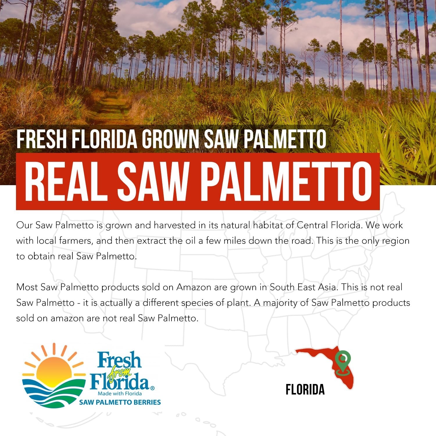 Saw Palmetto Extract 10X Potency + Pumpkin Seed Oil – Prostate Health, Hair Grow