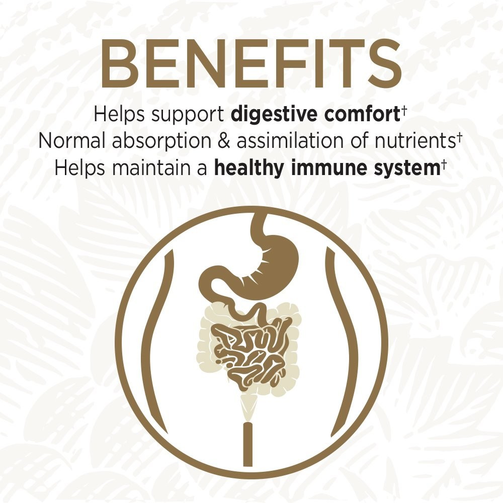 Primal Defense Ultra Probiotic Supplement, 60 Capsules for Digestive Health