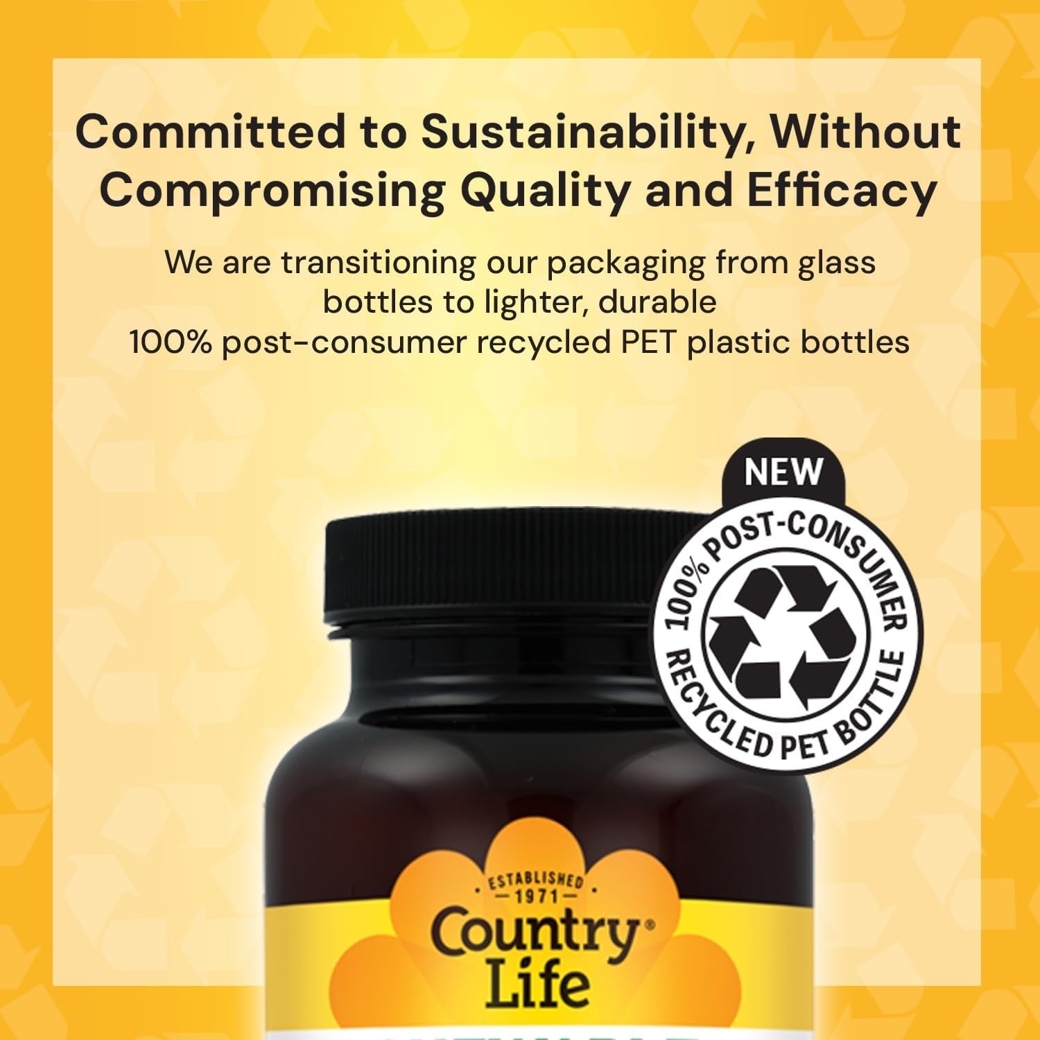 Nutritious 60 Count Chewable Multivitamins – Pineapple-Orange Flavor for Adults