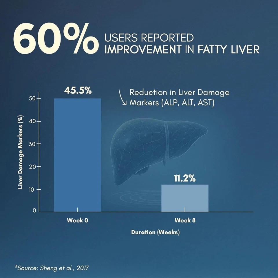 Liver Detox Supplement | Milk Thistle with 80% Silymarin | With 9-Ingredient u11