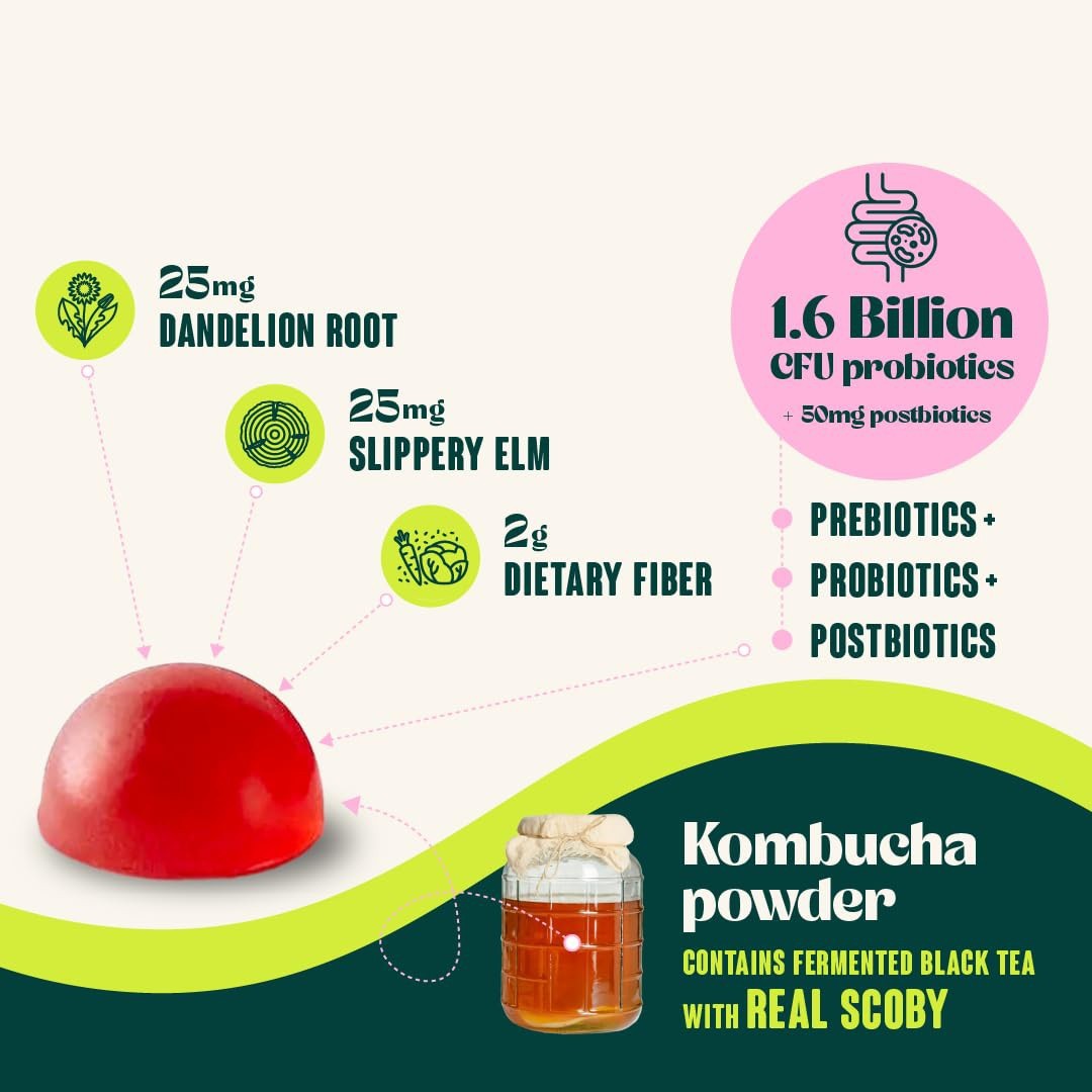 1-3 Pack Kombucha Gummy – Prebiotics Probiotics Fiber Daily Supplement