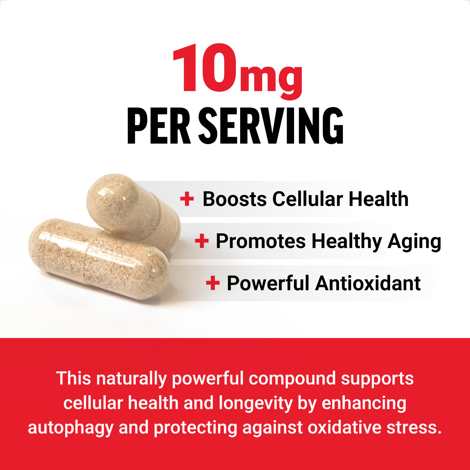 FORCE FACTOR Spermidine Supplement for Longevity & Cellular Health