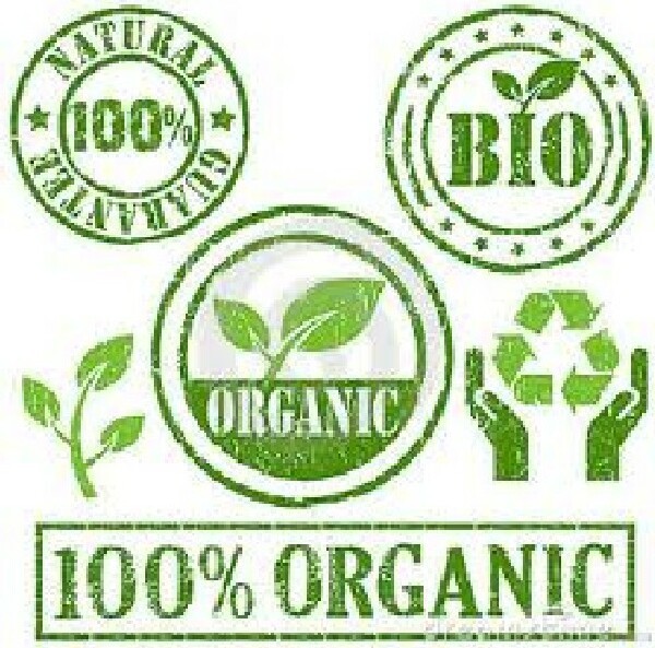 ABSORB 98 LIPOSOMAL GLUTATHIONE “48 SERVINGS” 100% ORGANIC SOY FREE GMO 21 grams
