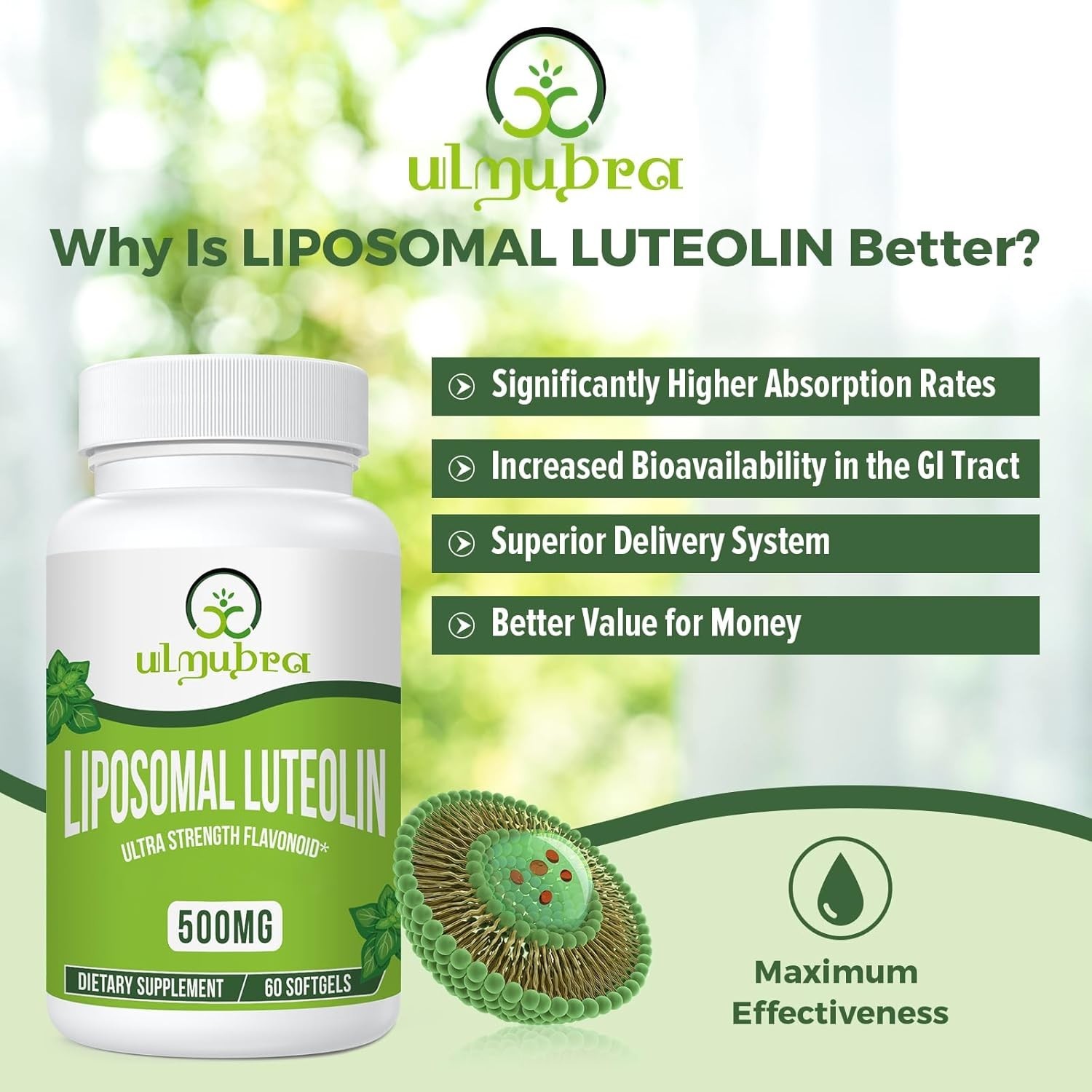 High-Potency Luteolin 500MG Softgels – Non-GMO & Gluten-Free Supplement