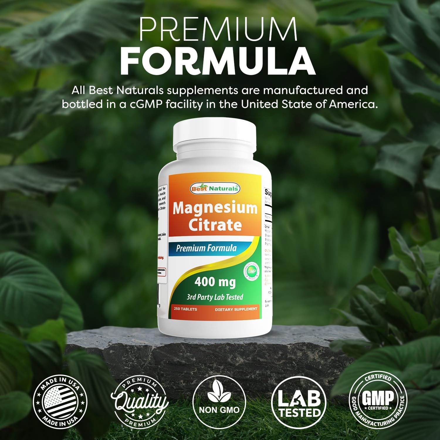 Best Naturals Magnesium Citrate (Citrato de Magnesio) 250 Count (Pack of 1)