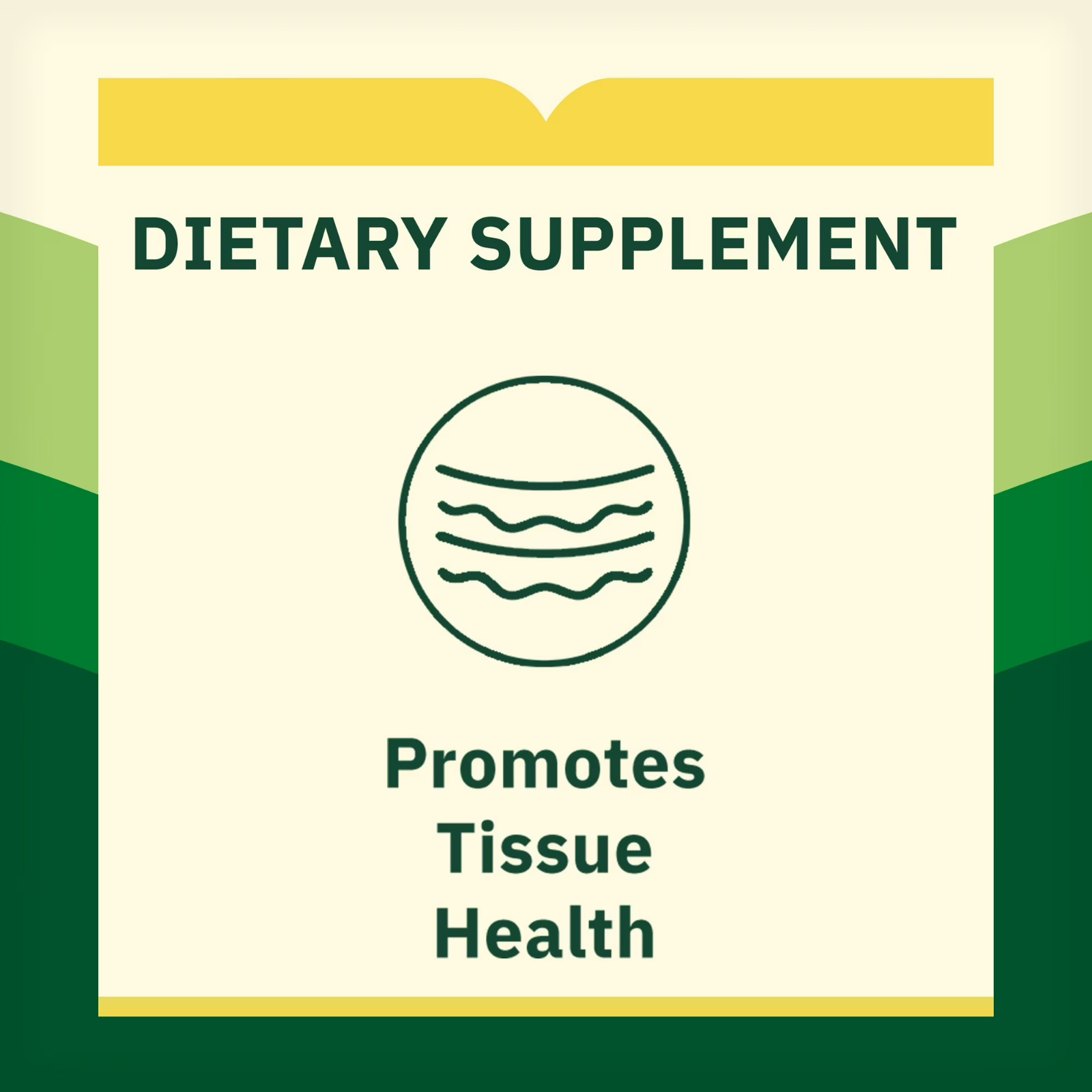 Spring Valley L-lysine Tablets 1000 mg 100 Tablets Fresh Stock Free Shipping