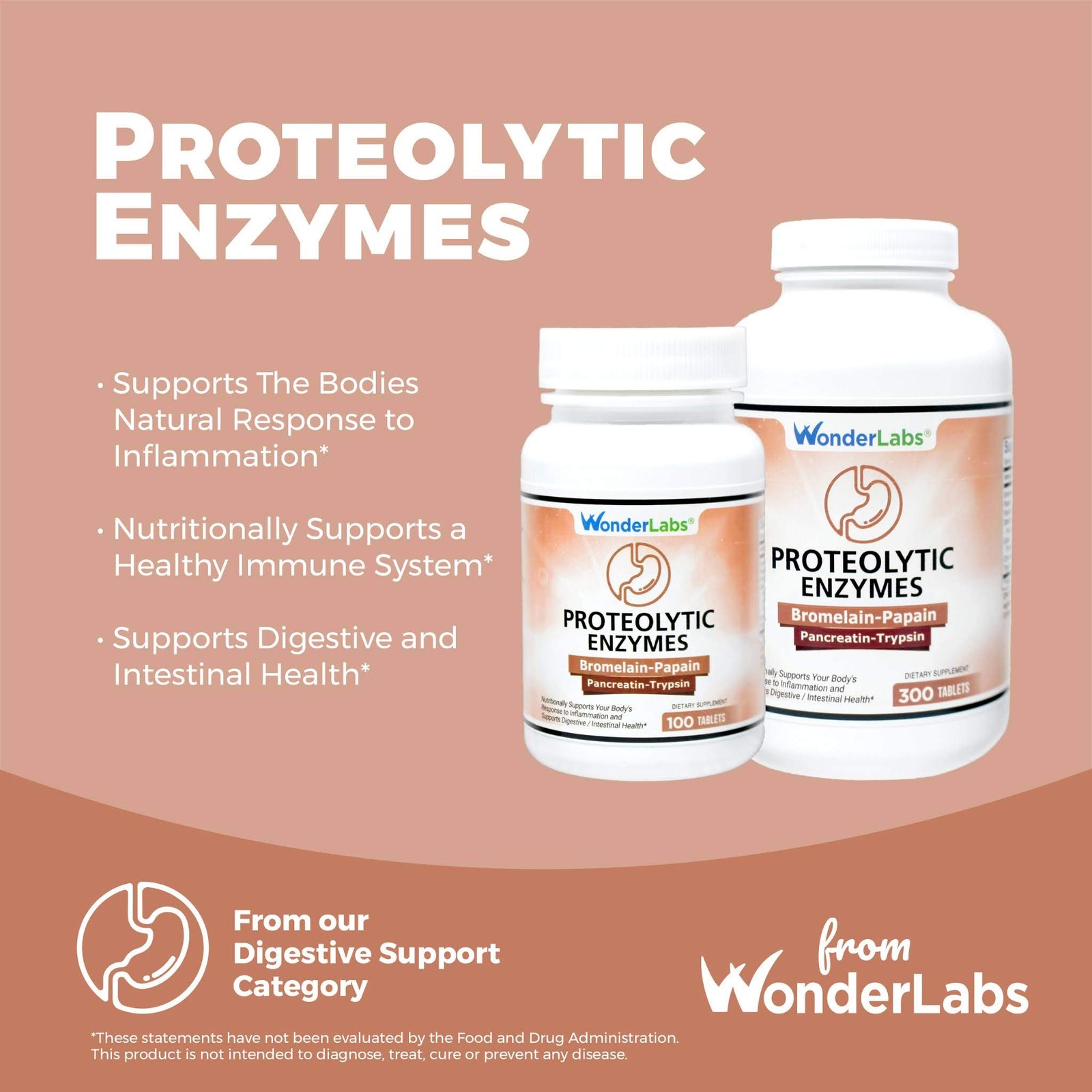 Wonder Laboratories Proteolytic Enzymes | Bromelain 300 Count (Pack of 1)