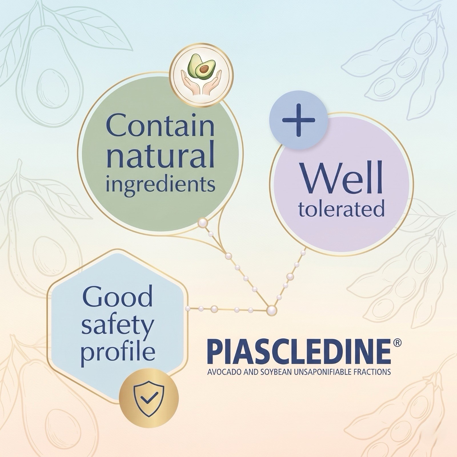 Piascledine 300 mg 60 Units Made In France