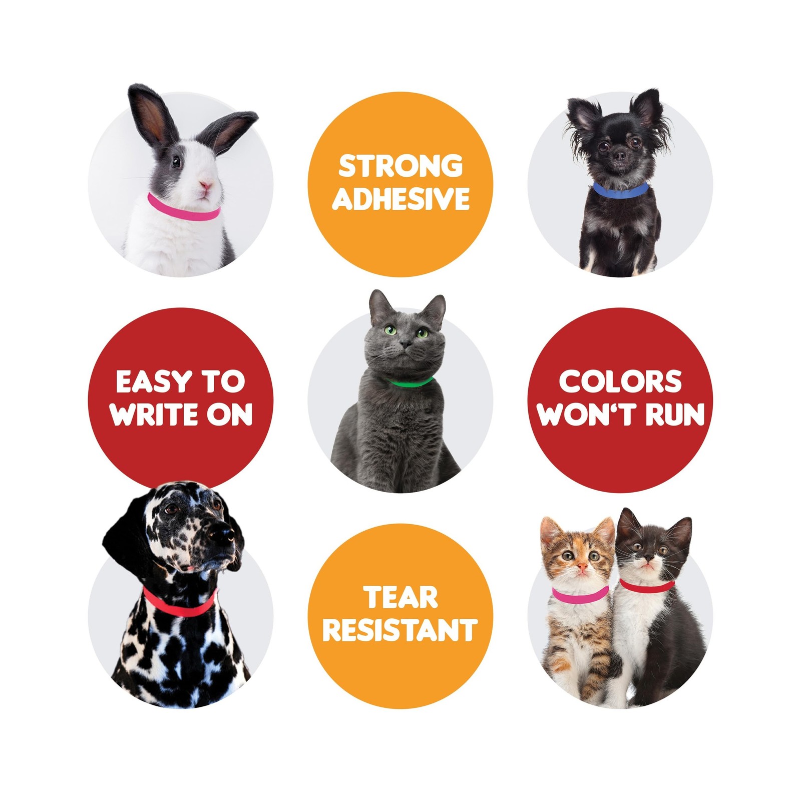 Max Premium Pet ID Collars – 20 Inch – 500 Count – Variety – Waterproof, Writ…