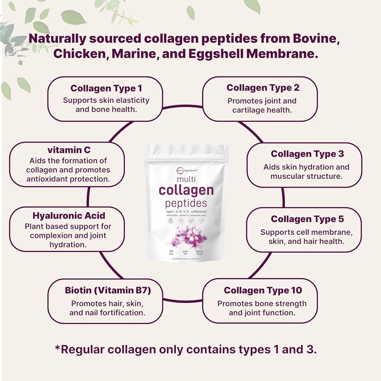 Micro Ingredients Multi Collagen – 2lb, 82 Servings + Biotin, HA, Vit C, Unflavo
