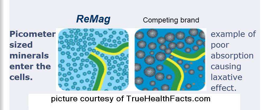 ReMag Magnesium 16 fl oz & ReMyte 8 fl oz -Dr Carolyn Dean