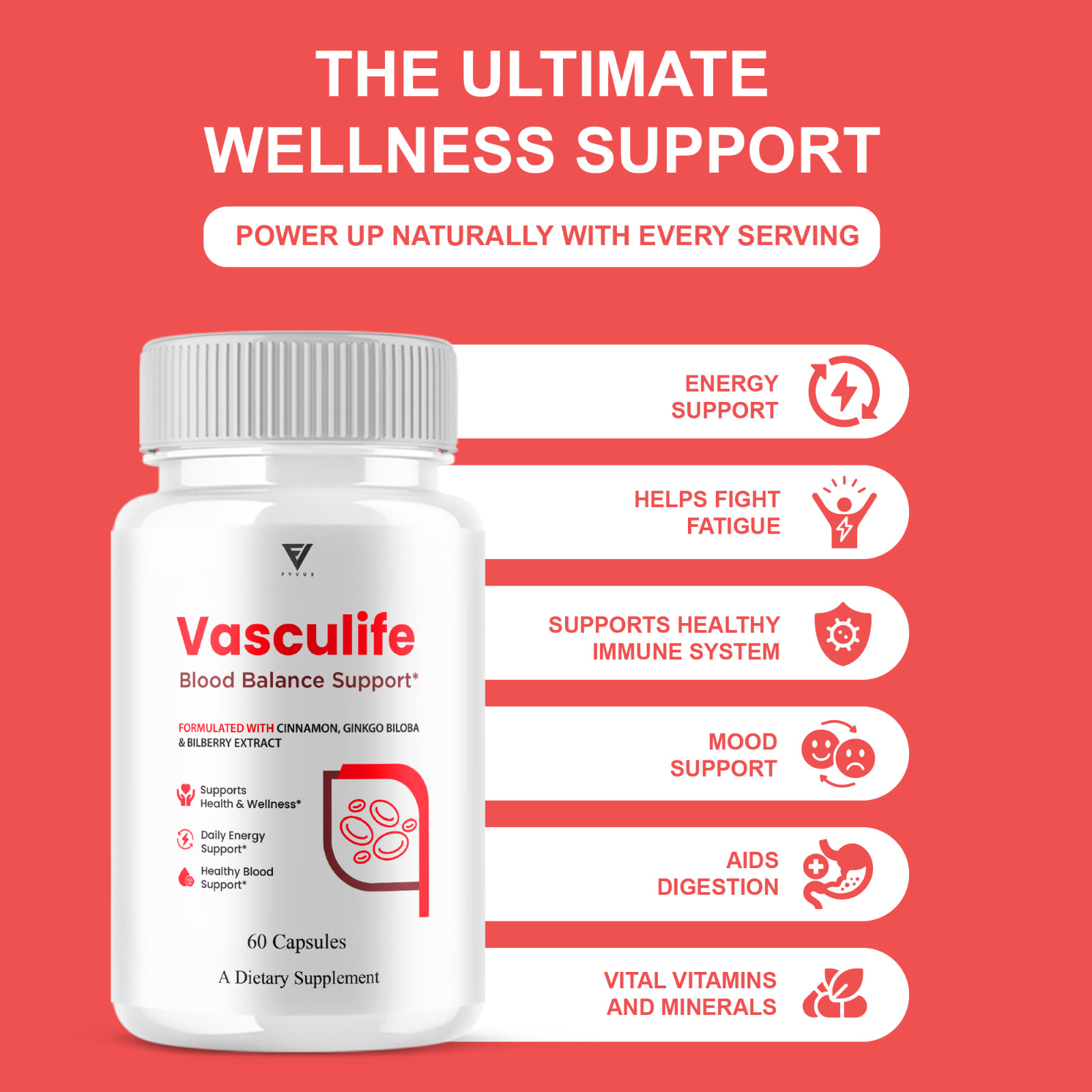 (3 Pack) Vasculife Blood Balance, Vasculife Advanced Blood Health (180 Capsules)