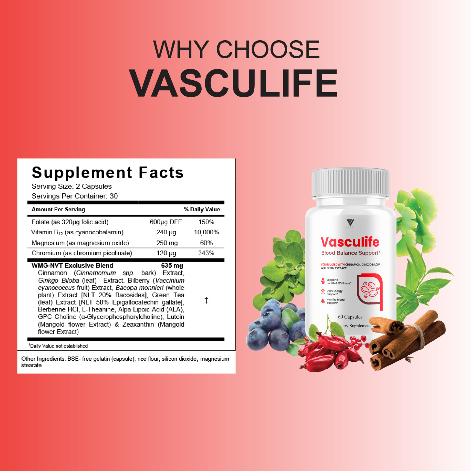 (3 Pack) Vasculife Blood Balance, Vasculife Advanced Blood Health (180 Capsules)