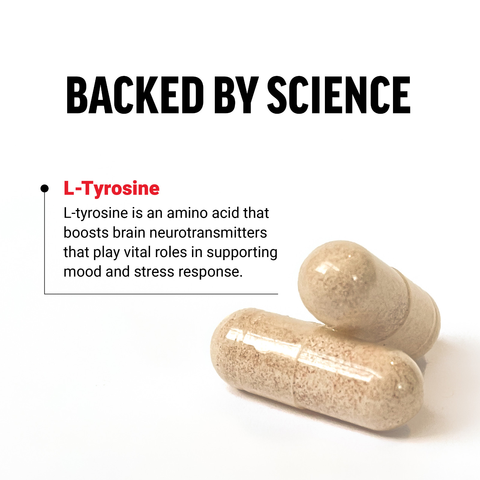 Force Factor L-Tyrosine 500mg, Stress Support Supplement, 120 Capsules