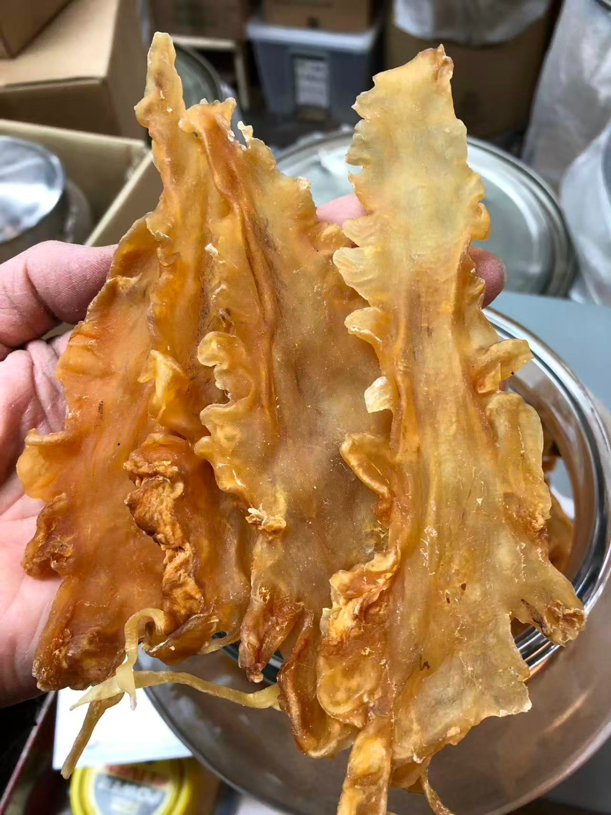 半磅装挪威鳕鱼胶Half Pound/Bag Dried Norwegian Cod Maw wild caught fish maw-U.S Seller