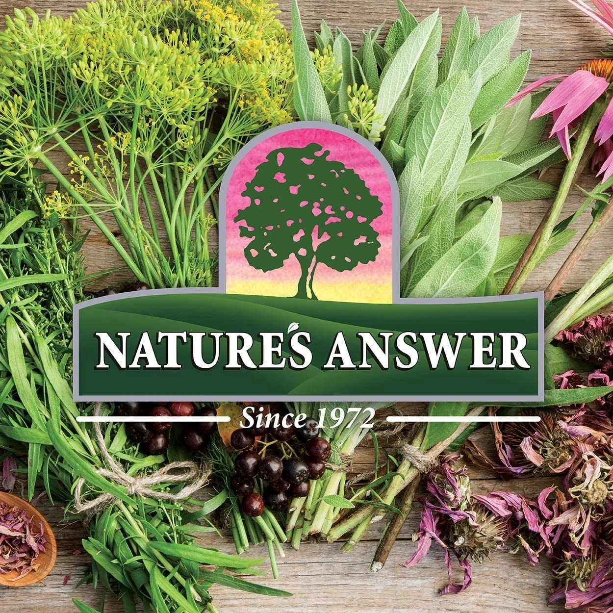 Nature’s Answer UT Answer D-Mannose Cranberry Concentrate – 4 fl oz – Pack of 3