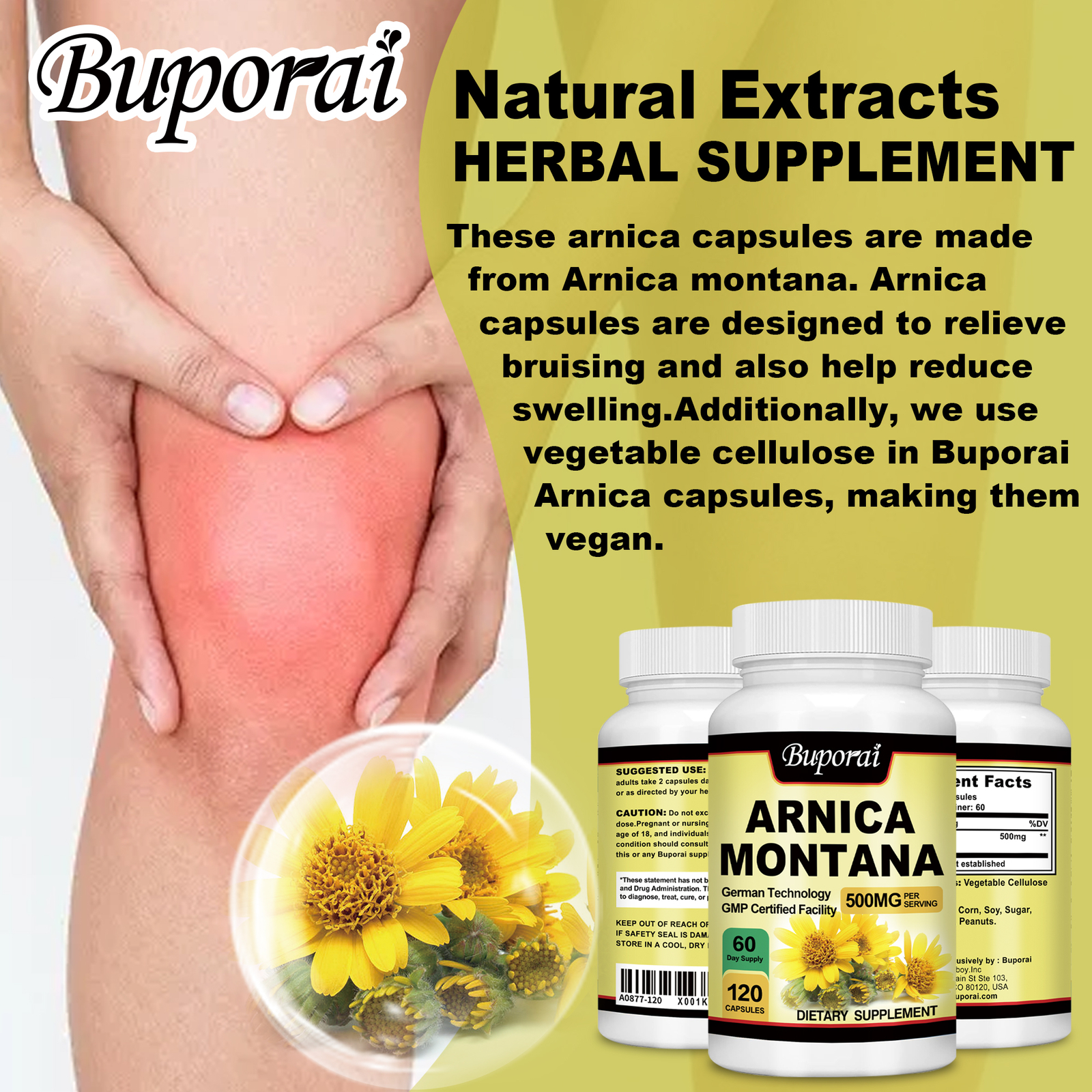 Arnica Montana 500mg -Anti-Inflammatory Support, Reliever for Swelling & Bruises