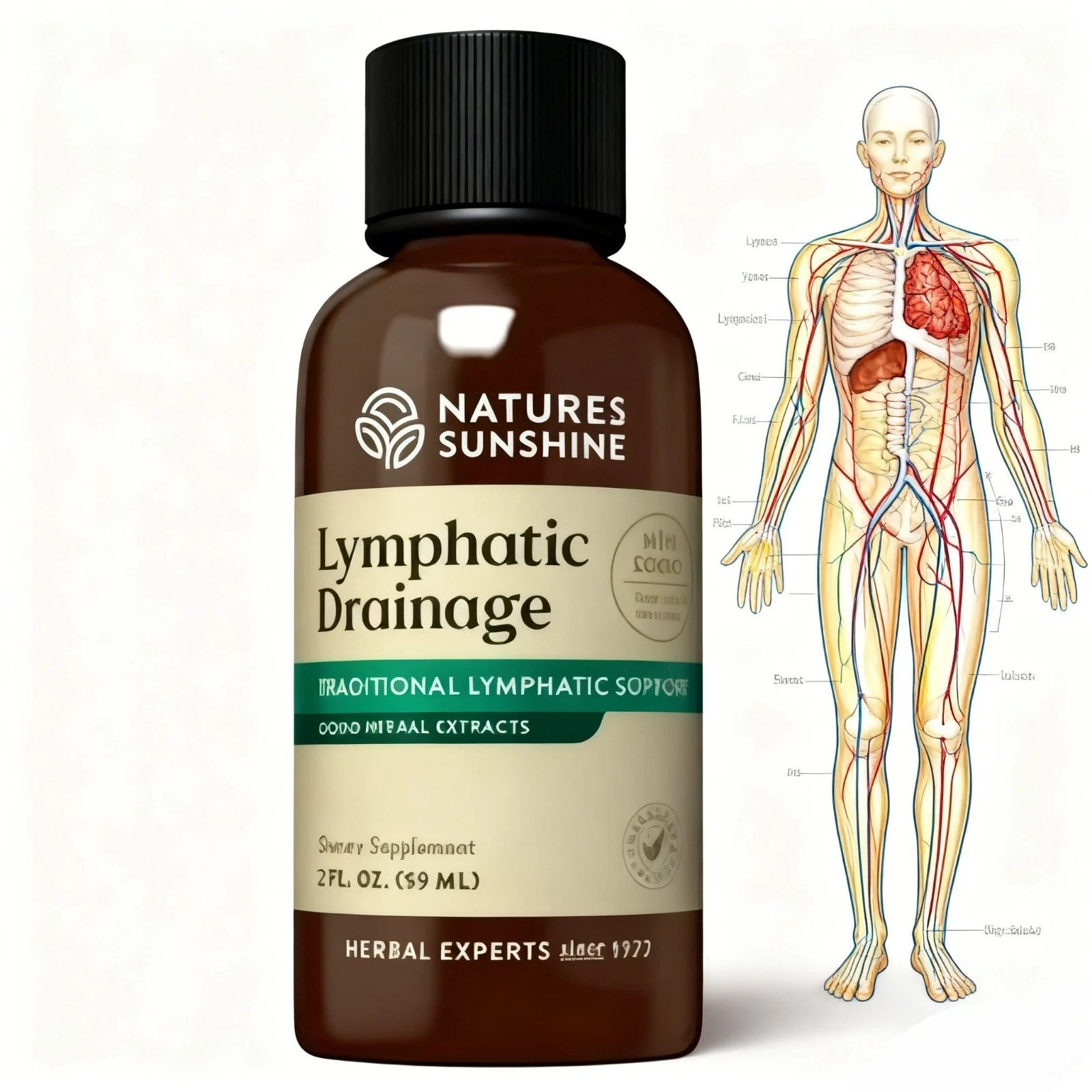 Lymphatic Drainage fl Drops | 2 Pack | 2 Liquid oz Each Nature’s Sunshine