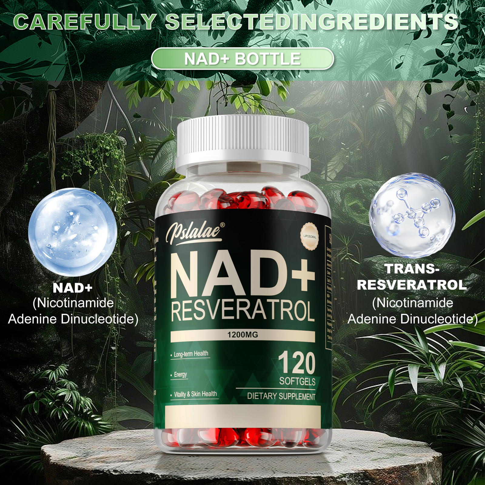 NAD+Resveratrol – with Phosphatidylcholine – Support Cellular Energy, Anti Aging