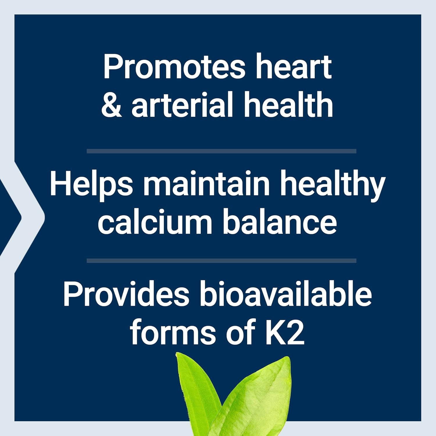 Life Extension Super K K1 K2 MK-7 MK-4 Heart Arterial Support 90 Softgels