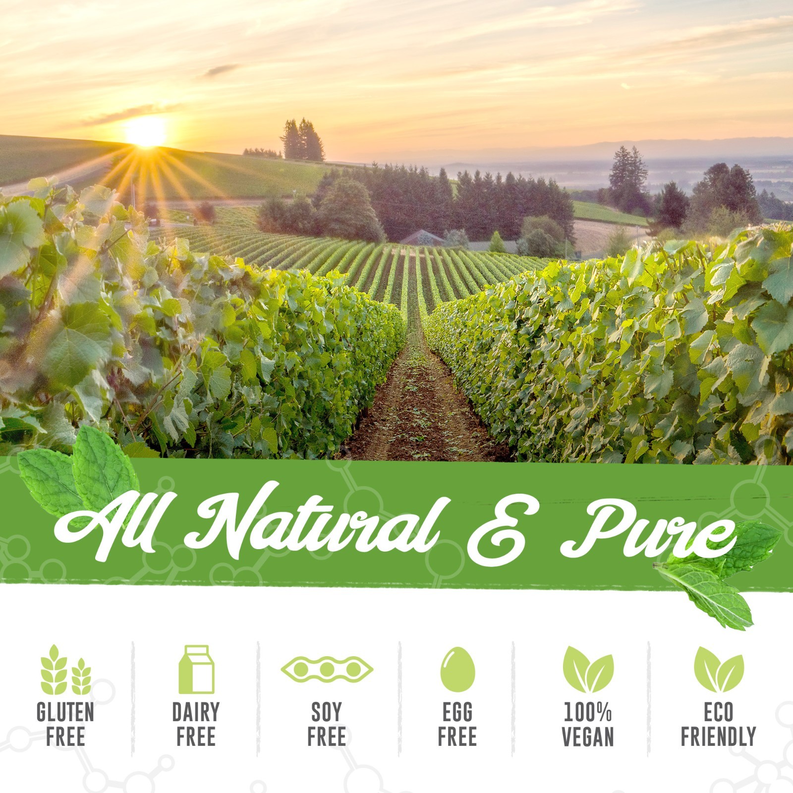 Astaxanthin Supplement 24mg with Lycopene 50mg – High Dose Antioxidant – 60 Caps